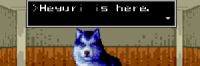 banner072.png