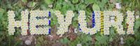 banner186.jpg