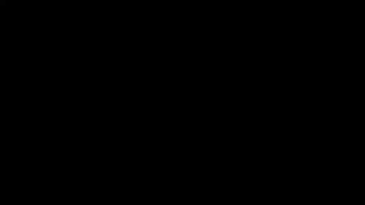 021.mp4