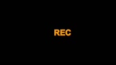 5504.mp4