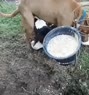 5533.mp4