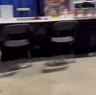 6239.mp4